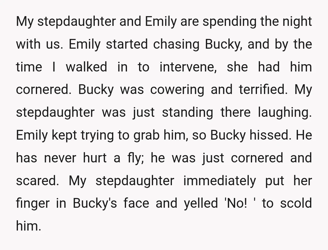 My stepdaughter and Emily are spending the night with us. Emily started chasing Bucky, and by the time I walked in to intervene, she had him cornered. Bucky was cowering...