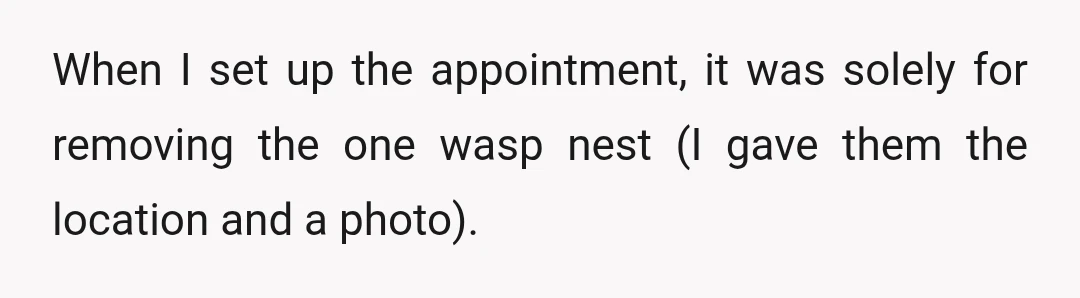 When I set up the appointment, it was solely for removing the one wasp nest (I gave them the location and a photo).