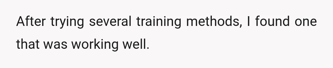 After trying several training methods, I found one that was working well.