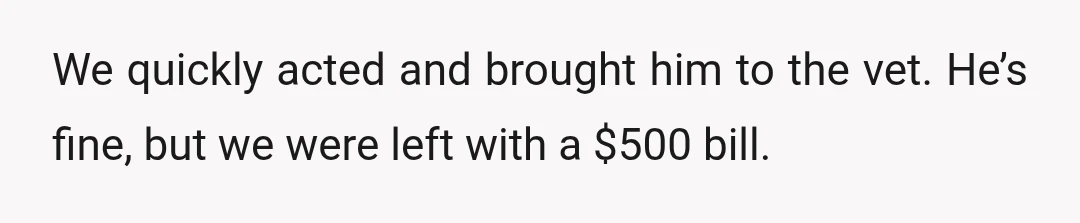 We quickly acted and brought him to the vet. He’s fine, but we were left with a $500 bill.