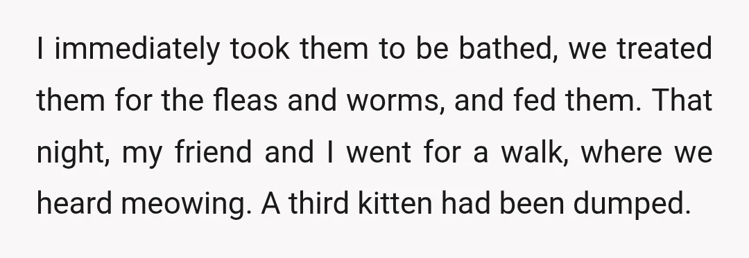I immediately took them to be bathed, we treated them for the fleas and worms, and fed them. That night, my friend and I went for a walk, where we...