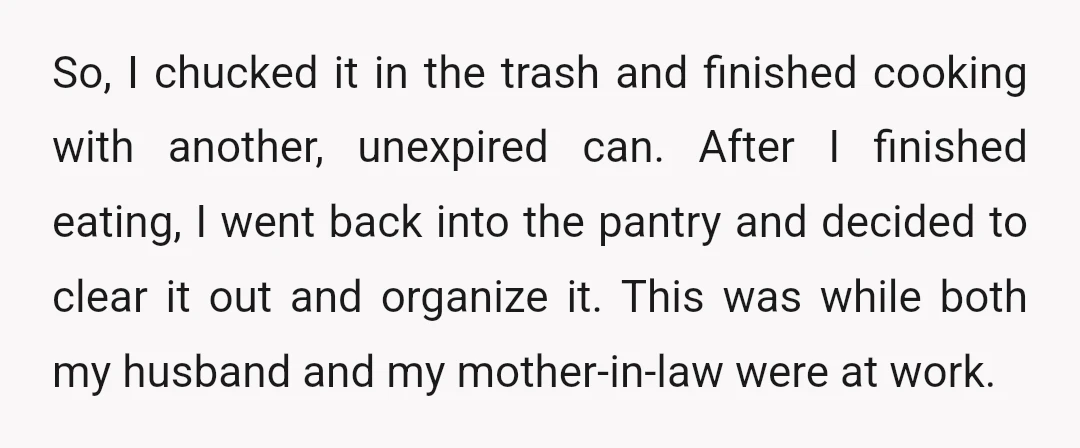So, I chucked it in the trash and finished cooking with another, unexpired can. After I finished eating, I went back into the pantry and decided to clear it out...