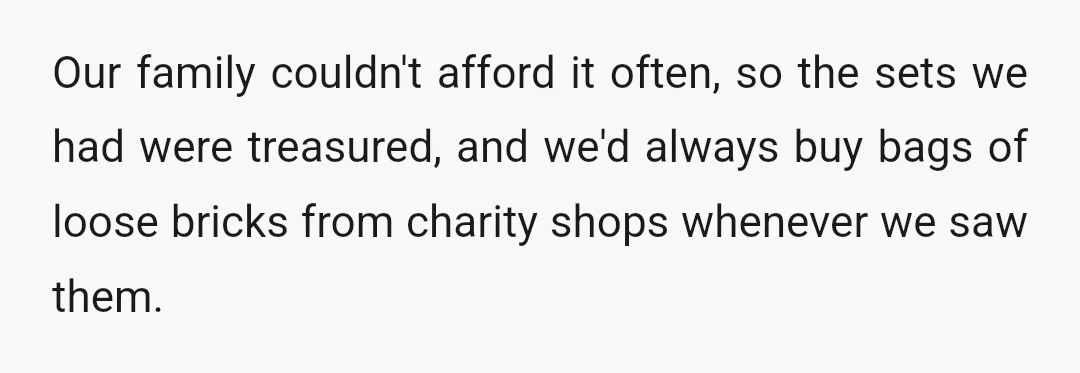 Our family couldn't afford it often, so the sets we had were treasured, and we'd always buy bags of loose bricks from charity shops whenever we saw them.