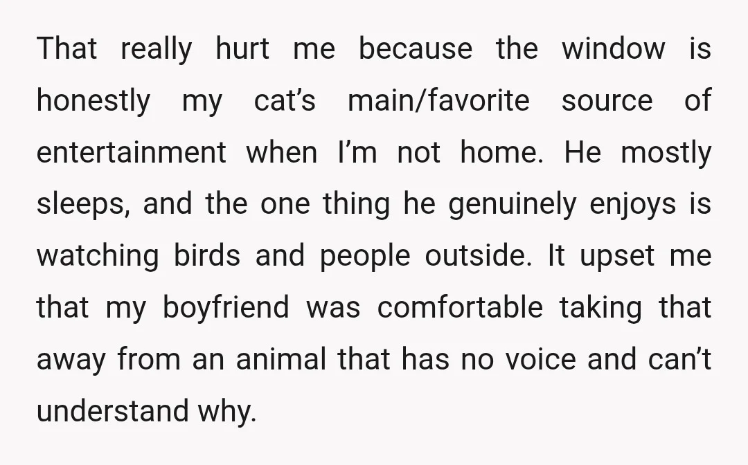 That really hurt me because the window is honestly my cat’s main/favorite source of entertainment when I’m not home. He mostly sleeps, and the one thing he genuinely enjoys is...