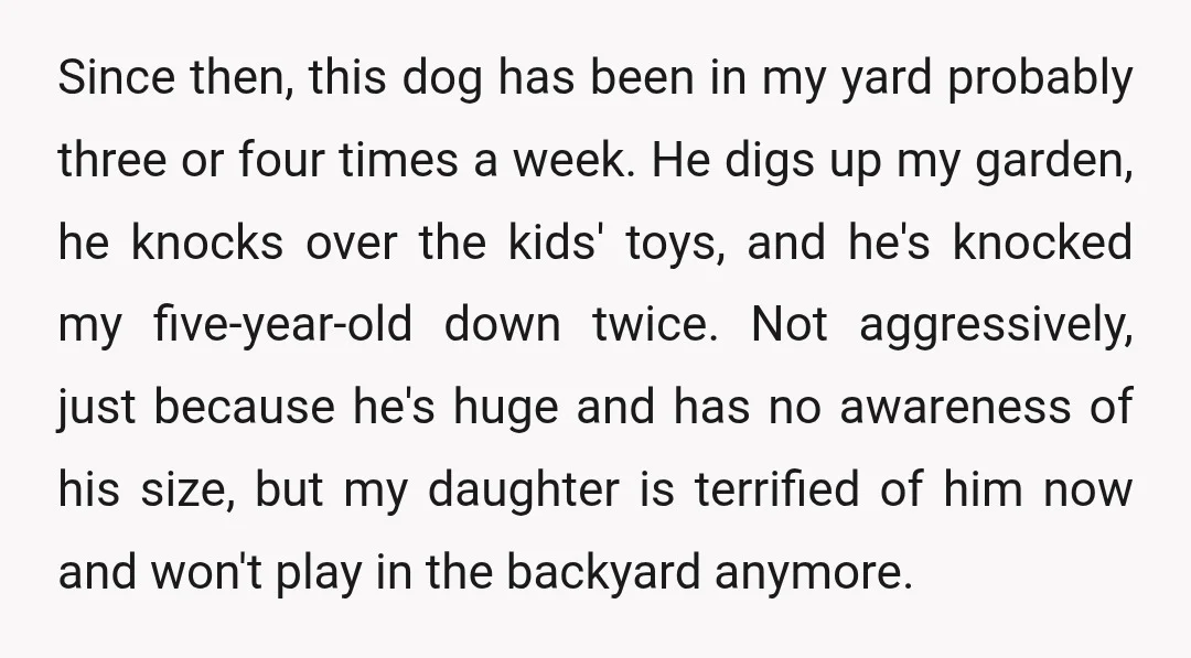 Since then, this dog has been in my yard probably three or four times a week. He digs up my garden, he knocks over the kids' toys, and he's knocked...