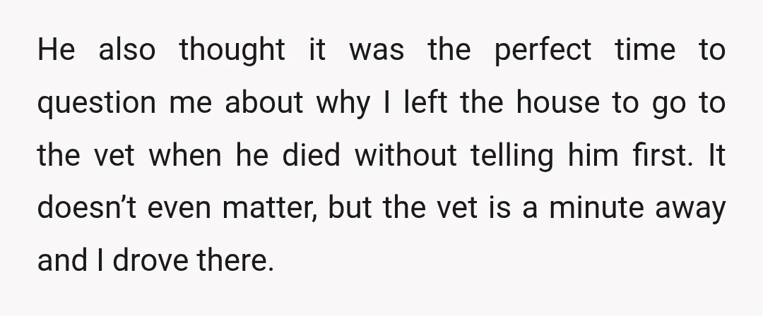 He also thought it was the perfect time to question me about why I left the house to go to the vet when he died without telling him first. It...