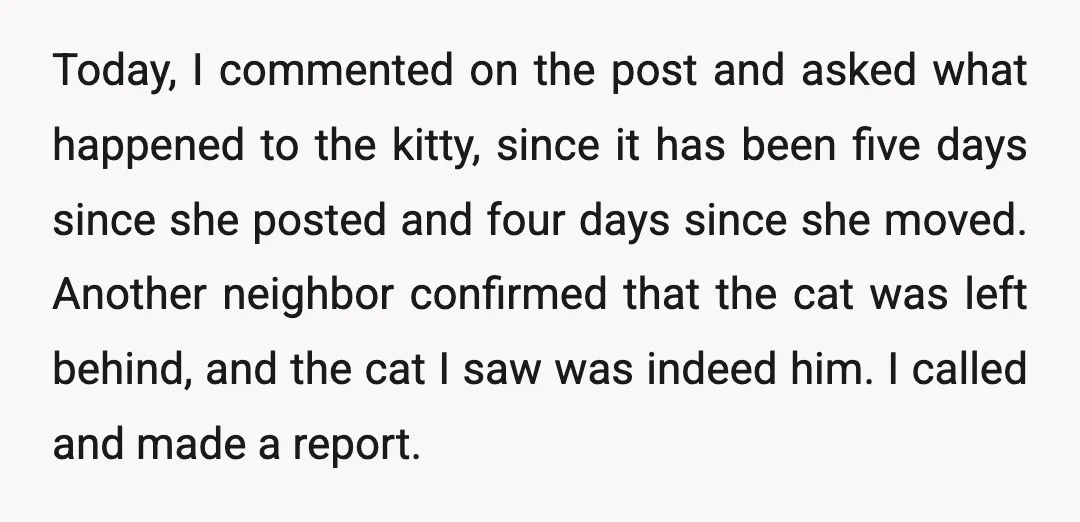 Today, I commented on the post and asked what happened to the kitty, since it has been five days since she posted and four days since she moved. Another neighbor...