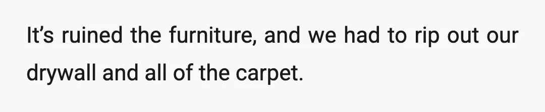 It’s ruined the furniture, and we had to rip out our drywall and all of the carpet.