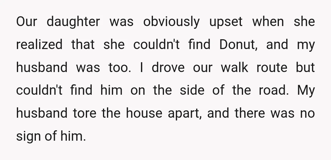 Our daughter was obviously upset when she realized that she couldn't find Donut, and my husband was too. I drove our walk route but couldn't find him on the side...