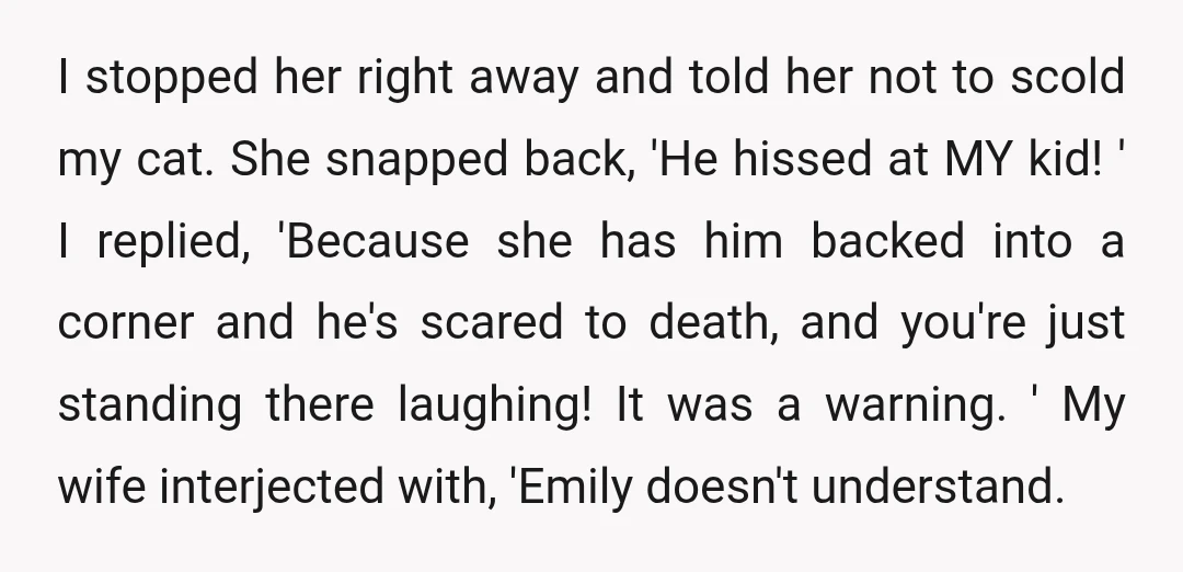 I stopped her right away and told her not to scold my cat. She snapped back, 'He hissed at MY kid! ' I replied, 'Because she has him backed into...