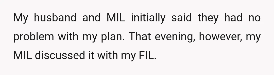 My husband and MIL initially said they had no problem with my plan. That evening, however, my MIL discussed it with my FIL.