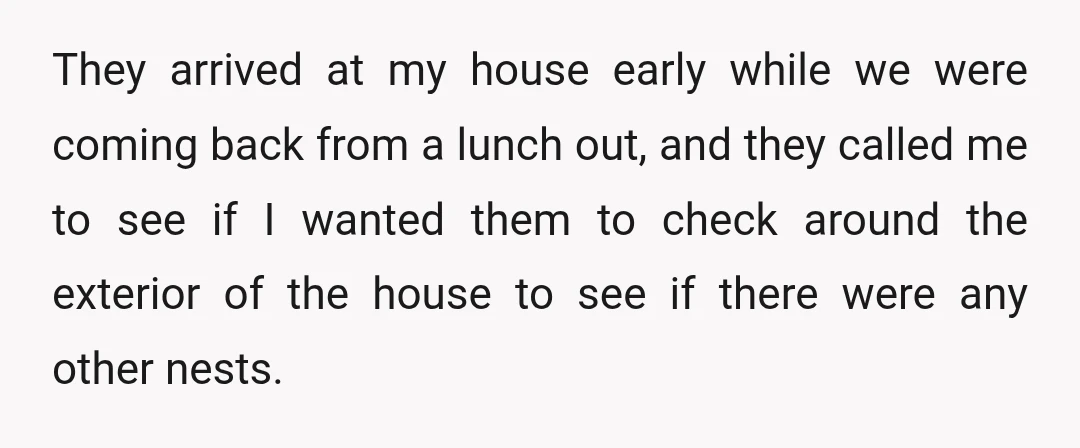 They arrived at my house early while we were coming back from a lunch out, and they called me to see if I wanted them to check around the exterior...