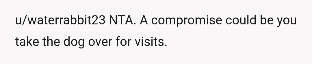 u/waterrabbit23
NTA. A compromise could be you take the dog over for visits.