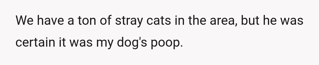 We have a ton of stray cats in the area, but he was certain it was my dog's poop.