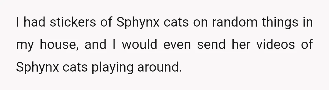 I had stickers of Sphynx cats on random things in my house, and I would even send her videos of Sphynx cats playing around.