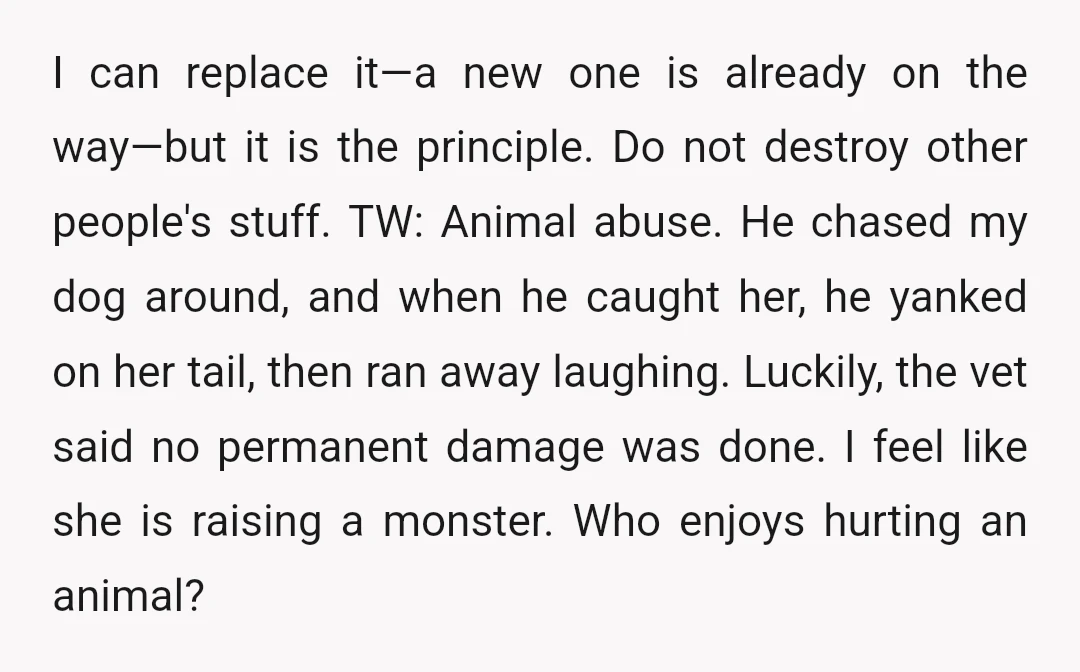 I can replace it—a new one is already on the way—but it is the principle. Do not destroy other people's stuff. TW: Animal abuse. He chased my dog around, and...