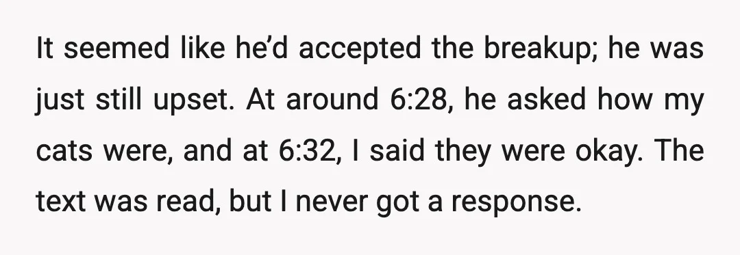 It seemed like he’d accepted the breakup; he was just still upset. At around 6:28, he asked how my cats were, and at 6:32, I said they were okay. The...