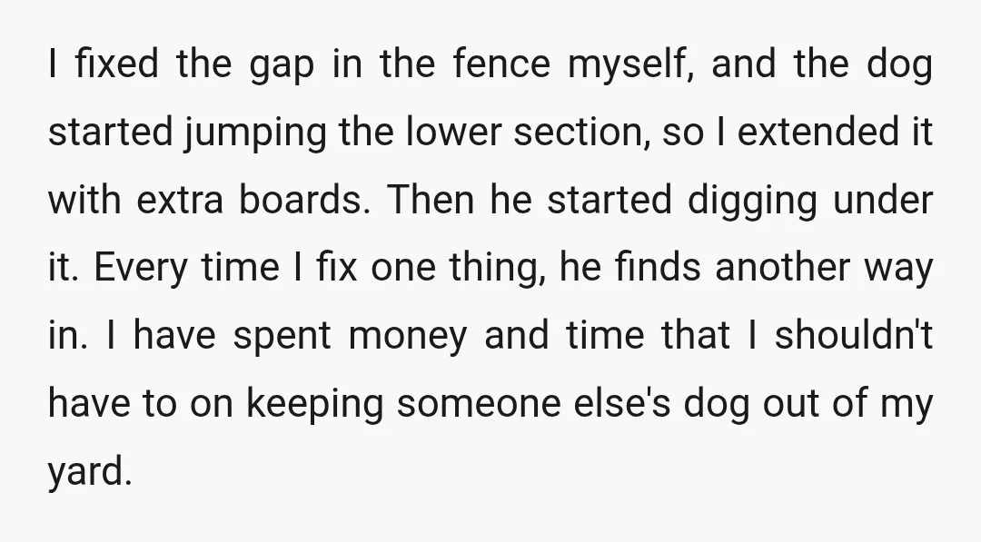 I fixed the gap in the fence myself, and the dog started jumping the lower section, so I extended it with extra boards. Then he started digging under it. Every...