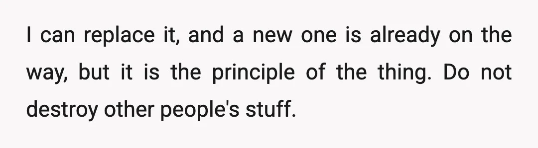 I can replace it, and a new one is already on the way, but it is the principle of the thing. Do not destroy other people's stuff.