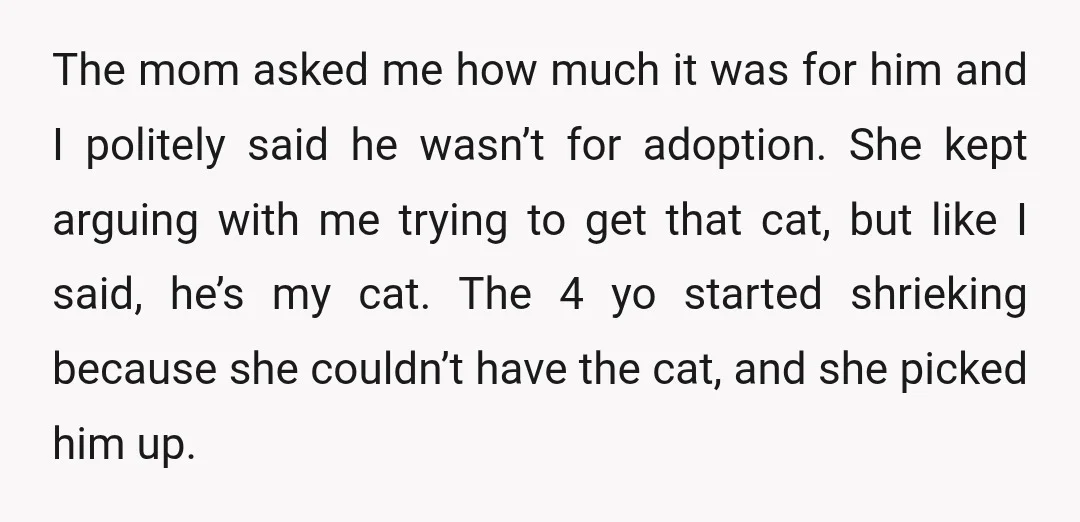 The mom asked me how much it was for him and I politely said he wasn’t for adoption. She kept arguing with me trying to get that cat, but like...