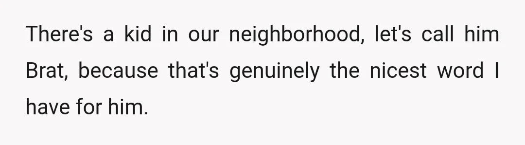 There's a kid in our neighborhood, let's call him Brat, because that's genuinely the nicest word I have for him.