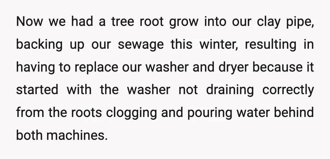 Now we had a tree root grow into our clay pipe, backing up our sewage this winter, resulting in having to replace our washer and dryer because it started with...