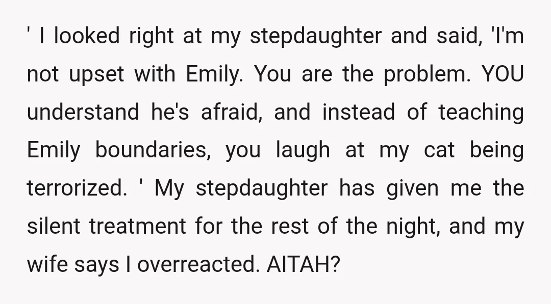 ' I looked right at my stepdaughter and said, 'I'm not upset with Emily. You are the problem. YOU understand he's afraid, and instead of teaching Emily boundaries, you laugh...
