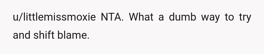 u/littlemissmoxie
NTA. What a dumb way to try and shift blame.