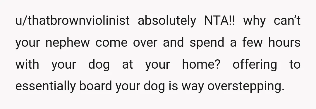 u/thatbrownviolinist
absolutely NTA!! why can’t your nephew come over and spend a few hours with your dog at your home? offering to essentially board your dog is way overstepping.