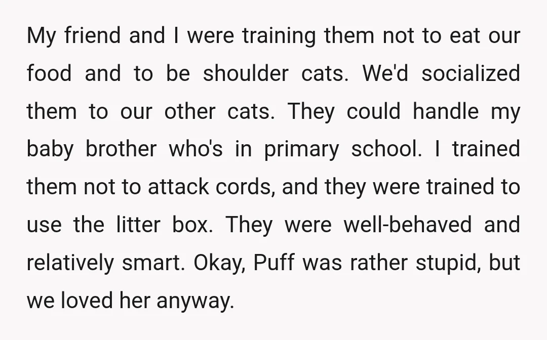 My friend and I were training them not to eat our food and to be shoulder cats. We'd socialized them to our other cats. They could handle my baby brother...