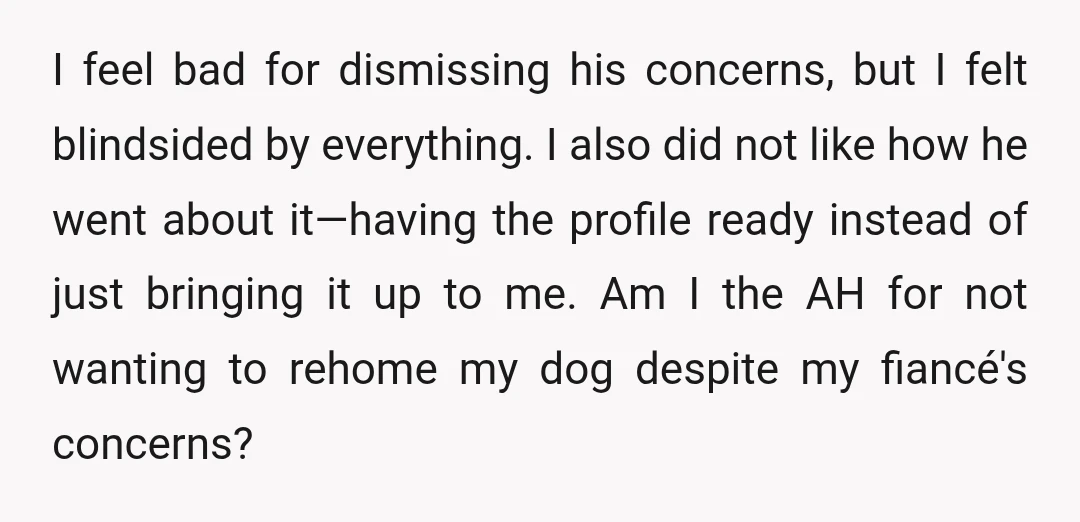 I feel bad for dismissing his concerns, but I felt blindsided by everything. I also did not like how he went about it—having the profile ready instead of just bringing...