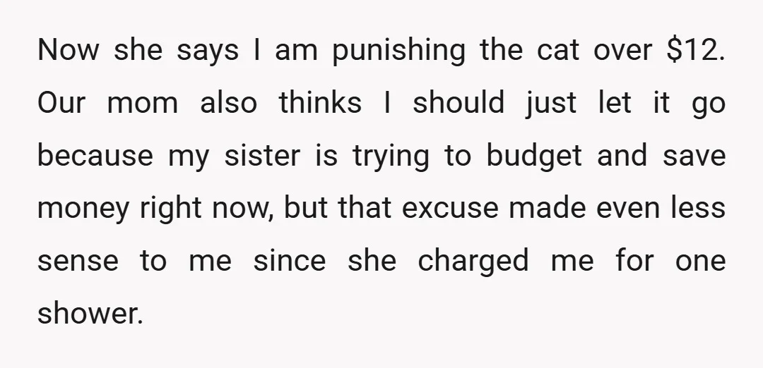 Now she says I am punishing the cat over $12. Our mom also thinks I should just let it go because my sister is trying to budget and save money...