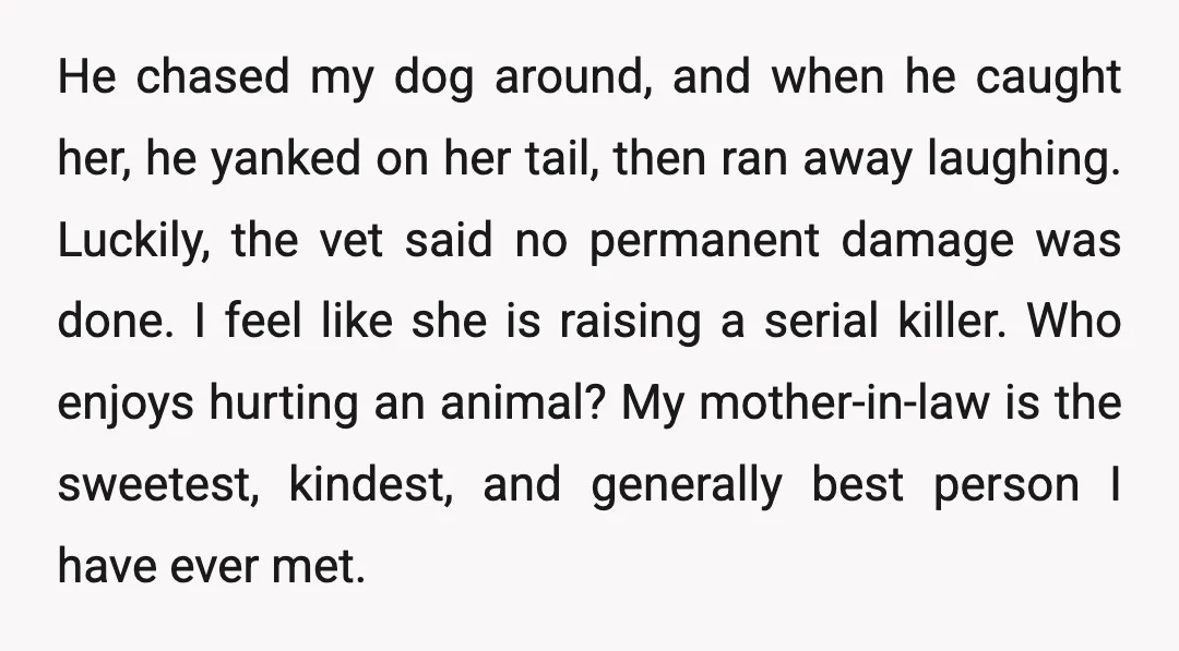 He chased my dog around, and when he caught her, he yanked on her tail, then ran away laughing. Luckily, the vet said no permanent damage was done. I feel...