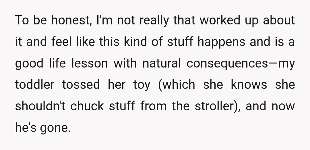 To be honest, I'm not really that worked up about it and feel like this kind of stuff happens and is a good life lesson with natural consequences—my toddler tossed...