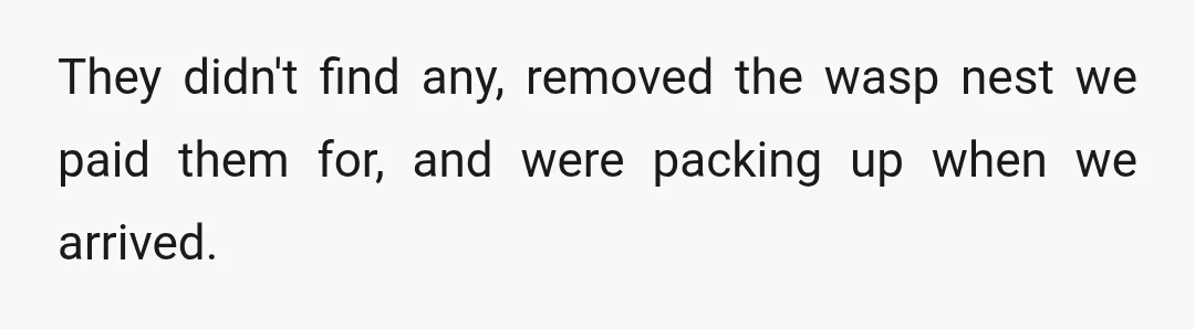 They didn't find any, removed the wasp nest we paid them for, and were packing up when we arrived.