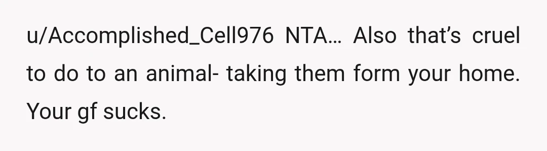 u/Accomplished_Cell976
NTA…
Also that’s cruel to do to an animal- taking them form your home.
Your gf sucks.