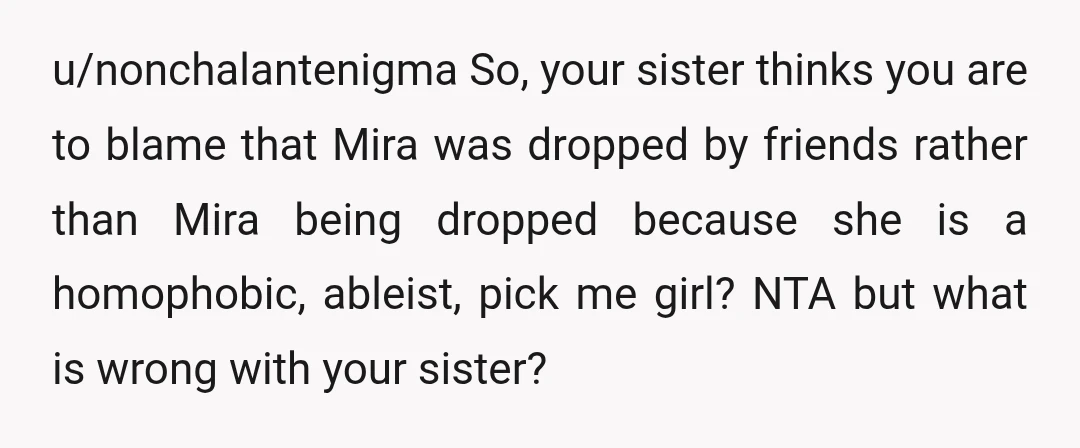 u/nonchalantenigma So, your sister thinks you are to blame that Mira was dropped by friends rather than Mira being dropped because she is a homophobic, ableist, pick me girl? NTA...