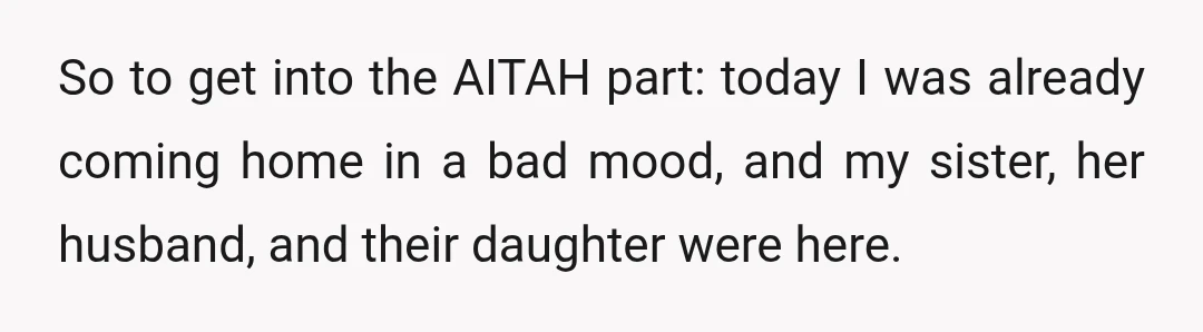 So to get into the AITAH part: today I was already coming home in a bad mood, and my sister, her husband, and their daughter were here.