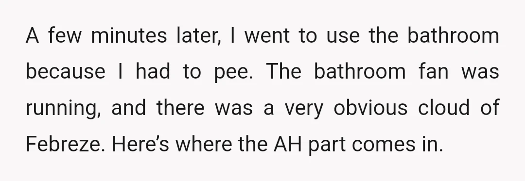 A few minutes later, I went to use the bathroom because I had to pee. The bathroom fan was running, and there was a very obvious cloud of Febreze. Here’s...