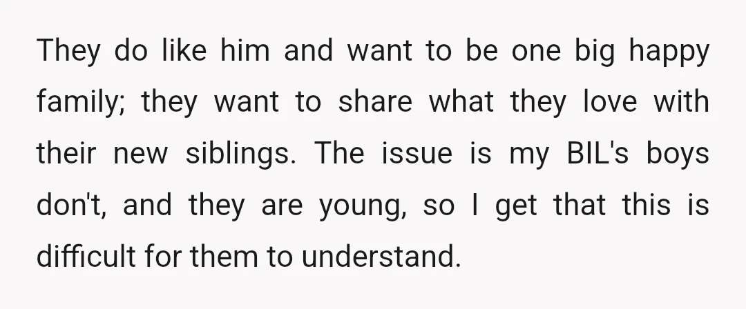 They do like him and want to be one big happy family; they want to share what they love with their new siblings. The issue is my BIL's boys don't,...