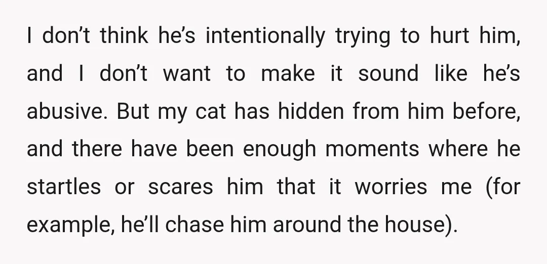 I don’t think he’s intentionally trying to hurt him, and I don’t want to make it sound like he’s abusive. But my cat has hidden from him before, and there...