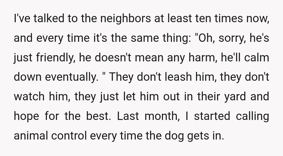I've talked to the neighbors at least ten times now, and every time it's the same thing: "Oh, sorry, he's just friendly, he doesn't mean any harm, he'll calm down...
