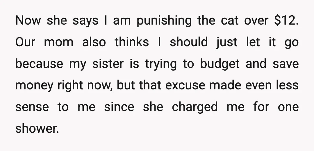 Now she says I am punishing the cat over $12. Our mom also thinks I should just let it go because my sister is trying to budget and save money...