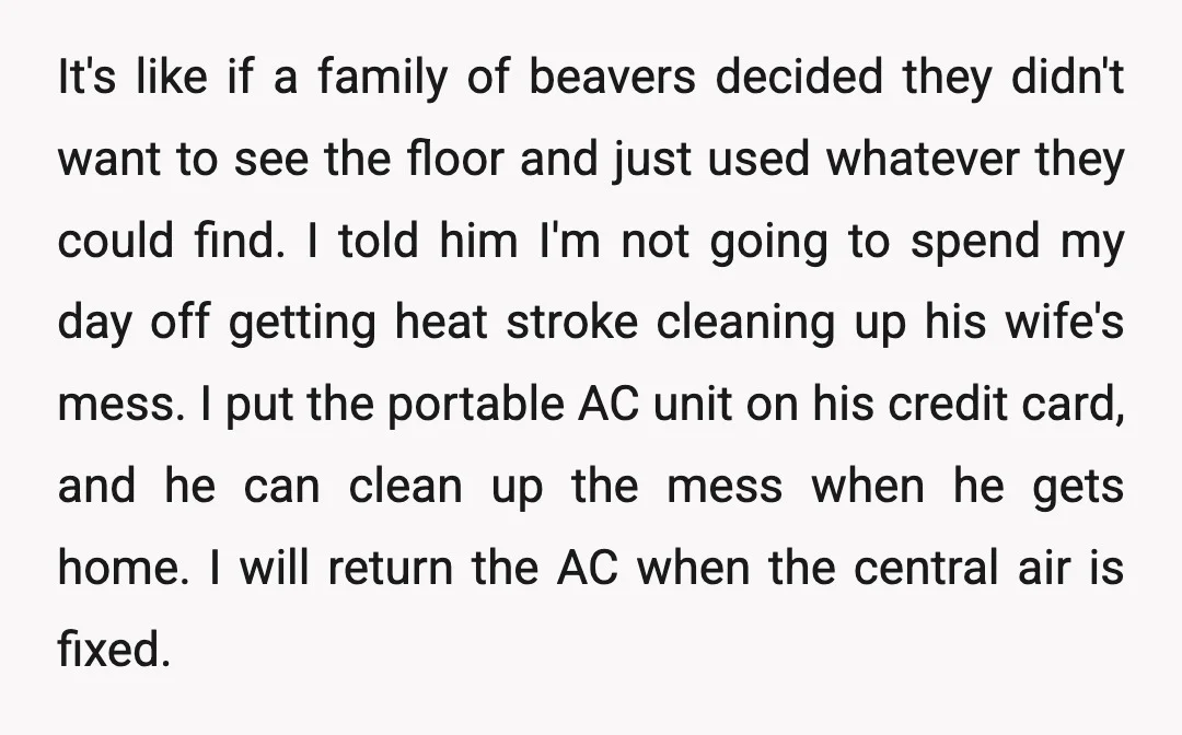 It's like if a family of beavers decided they didn't want to see the floor and just used whatever they could find. I told him I'm not going to spend...