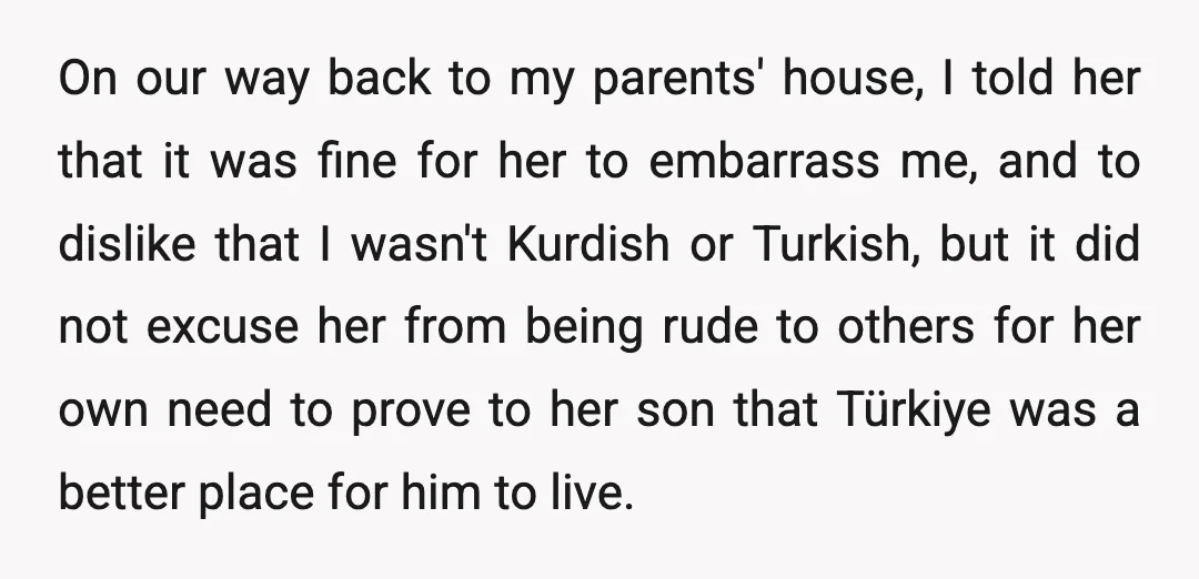 On our way back to my parents' house, I told her that it was fine for her to embarrass me, and to dislike that I wasn't Kurdish or Turkish, but...