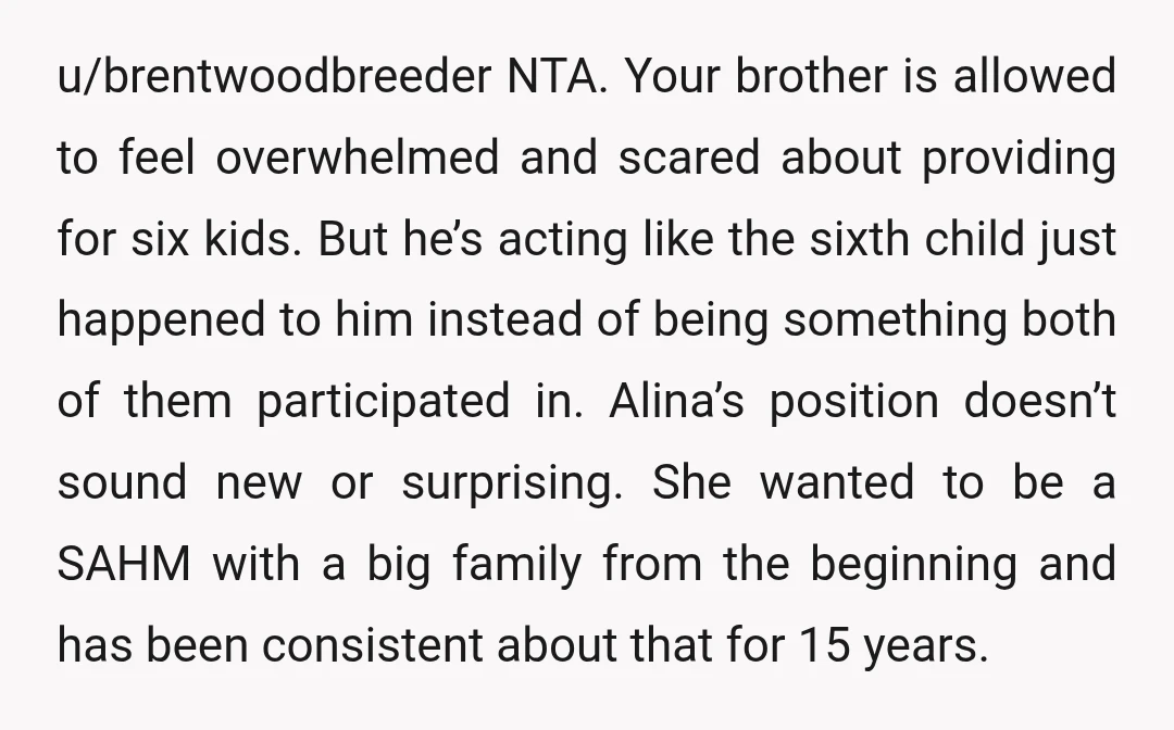 u/brentwoodbreeder NTA. Your brother is allowed to feel overwhelmed and scared about providing for six kids. But he’s acting like the sixth child just happened to him instead of being...