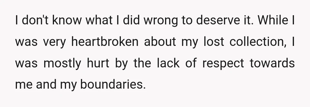 I don't know what I did wrong to deserve it. While I was very heartbroken about my lost collection, I was mostly hurt by the lack of respect towards me...