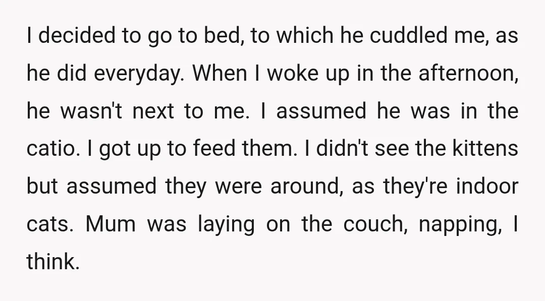 I decided to go to bed, to which he cuddled me, as he did everyday. When I woke up in the afternoon, he wasn't next to me. I assumed he...