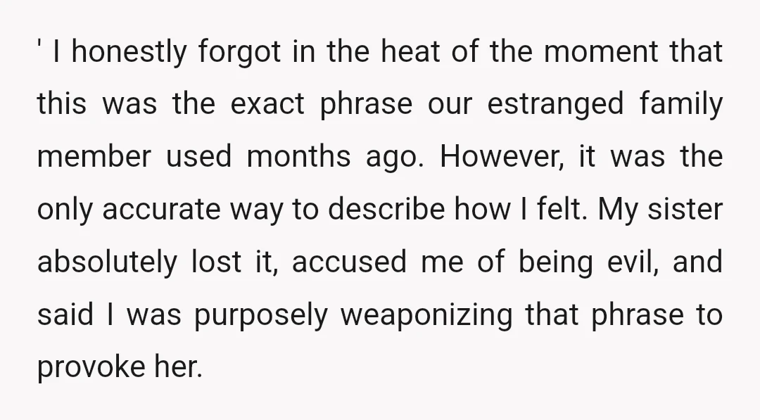 ' I honestly forgot in the heat of the moment that this was the exact phrase our estranged family member used months ago. However, it was the only accurate way...