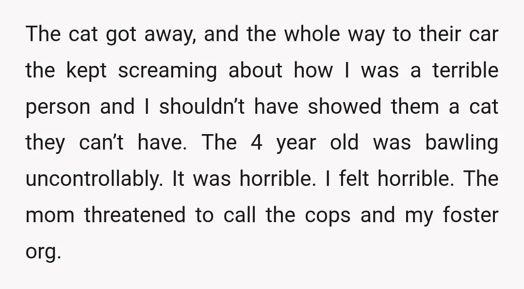 The cat got away, and the whole way to their car the kept screaming about how I was a terrible person and I shouldn’t have showed them a cat they...